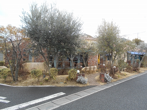 さいたま市見沼区にあるパスタ ピザ イタリアンのお店 キャナリィ ロウ Cannery Row 大宮東店 です 最寄駅は東武アーバンパークラインの七里駅になります トマトソースのペスカトーレのセットにドルチェを別に付けました 気ままに外食三昧