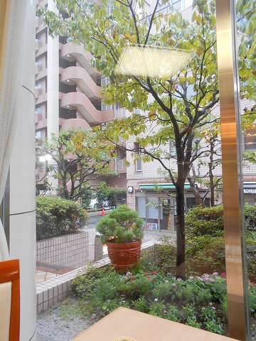 千葉県市川市市川１丁目にあるカフェ「Cafe de Riviere　リヴィエール」店からの眺め