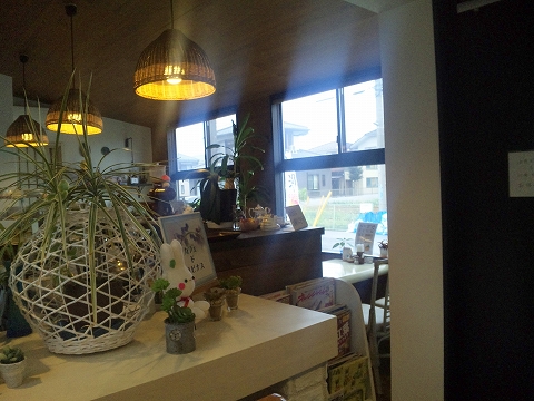 埼玉県春日部市備後東６丁目にあるカフェ「Cafe de Lupinus　カフェ ド ルピナス」店内