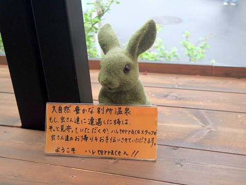 長野県上田市別所温泉にあるカフェ「Katsuraso Cafe ハレterrace　カツラソウ カフェ ハレテラス」店内