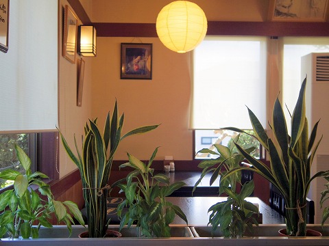 埼玉県さいたま市緑区中尾にある洋食、和食の「あい庭」店内