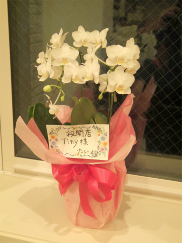 神奈川県横浜市西区戸部本町にあるカフェ「TINY CAFE」店内