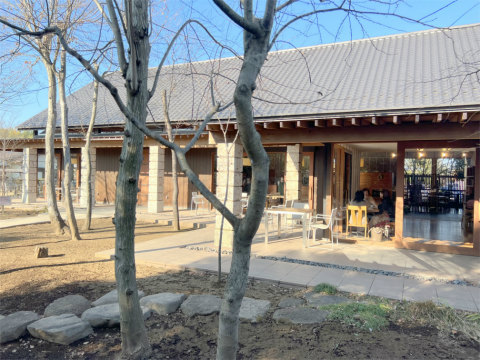 trattoria Agreste トラットリア・アグレステ - 気ままに外食三昧