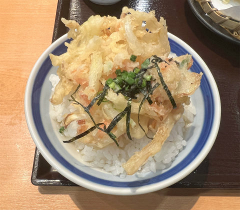 埼玉県越谷市レイクタウン3丁目にある天ぷらのお店「日本橋 からり イオンレイクタウンmori店」