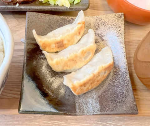 神奈川県横浜市神奈川区東神奈川1丁目にある居酒屋「肉汁餃子のダンダダン 東神奈川店」追加の焼餃子(3ケ)