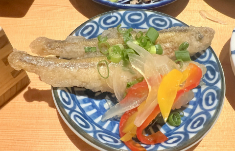 神奈川県川小崎市麻生区万福寺1丁目にある郷土料理、居酒屋の「九州料理 獅子丸 新百合ヶ丘店」