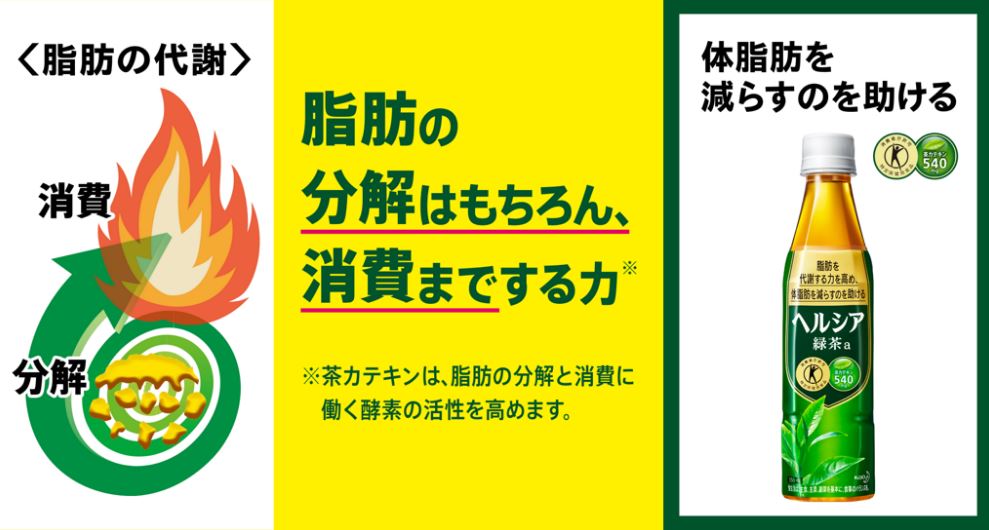 f:id:morigon18:20180828175150j:plain