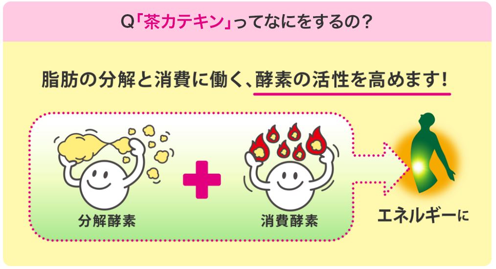 f:id:morigon18:20180828175158j:plain