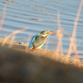 20260118172051