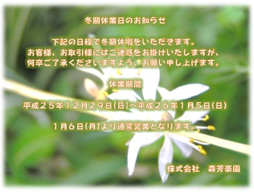 f:id:morihou:20131205113459j:image
