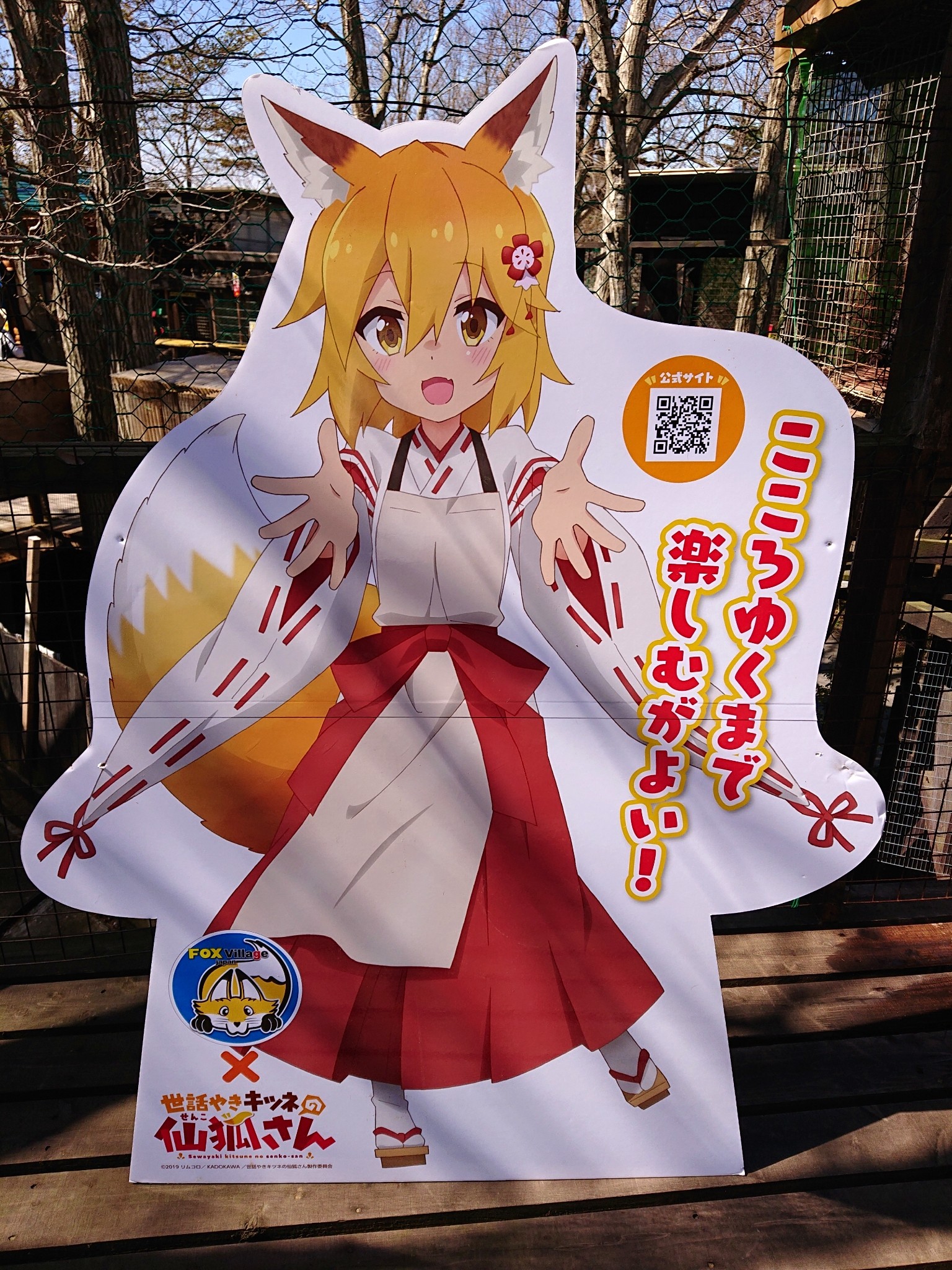 キ ツ ネ さ ん ん ん ん ん かんぱのにっき