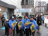 20101212_154623_canon_ixy_digital_2