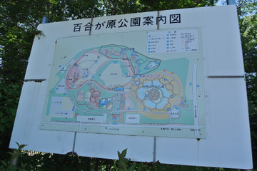 20140721_094609_nikon_1_j1_2