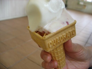 20100726_110258_canon_ixy_digital_8