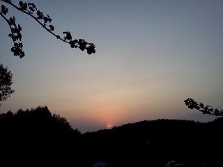 20120505_183852_l04c