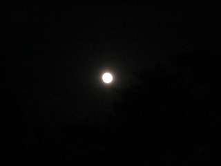 20120505_220545_canon_ixy_200f