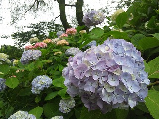 20120617_181523_sh03c