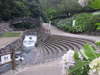 20120617_181811_sh03c