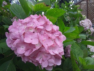 20120617_181909_sh03c