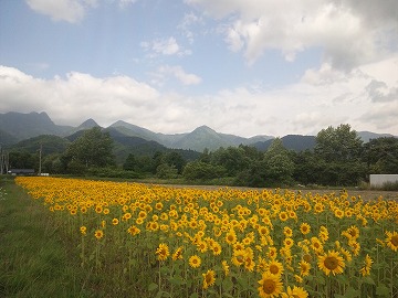 20120731_093546_sh03c