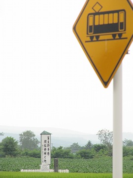 20120731_110312_canon_powershot_s_2
