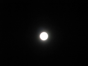 20120831_224528_canon_powershot_sx2