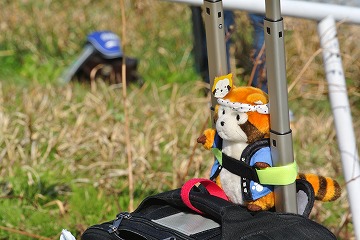 20130413_144509_nikon_1_j1