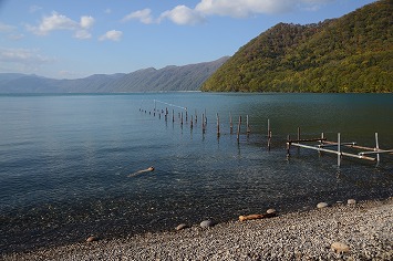 20141007_142143_nikon_d3200 20141007_142143_nikon_d3200