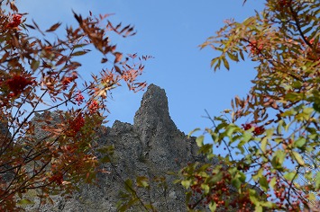 20141008_094210_nikon_d3200 20141008_094210_nikon_d3200
