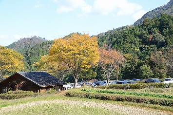 20141115_123209_nikon_d3200