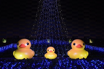 20141223_202043_nikon_d3200