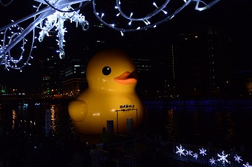 20141223_202904_nikon_d3200