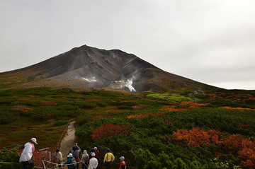 20150918_084759_nikon_d3200