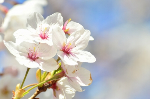 20190404_150827_nikon-d3200