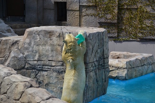 20190430_131116_nikon-d3200