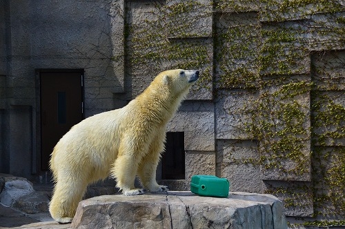 20190430_131242_nikon-d3200