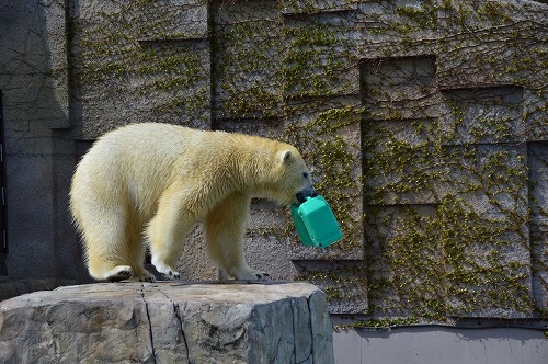 20190430_131437_nikon-d3200