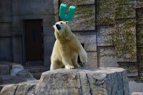 20190430_131439_nikon-d3200_0001