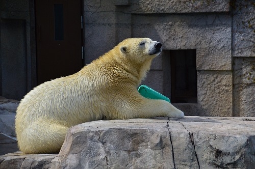 20190430_132427_nikon-d3200