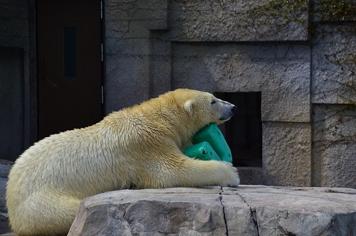 20190430_132442_nikon-d3200