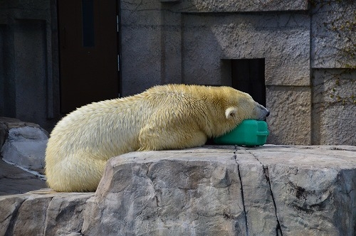 20190430_132458_nikon-d3200