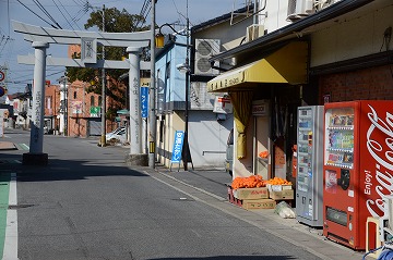 20150124_122457_nikon_d3200_2