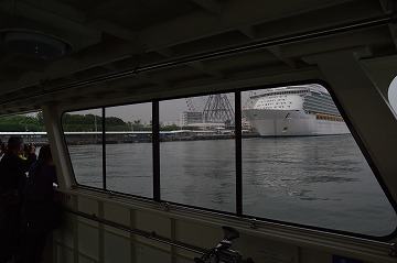 20150617_073948_nikon_d3200