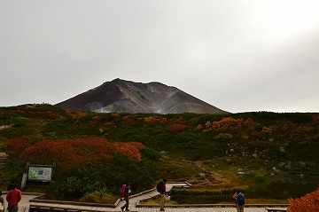 20150918_081109_nikon_d3200