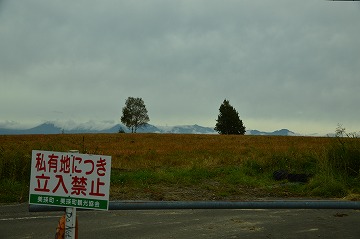 20150918_145730_nikon_d3200
