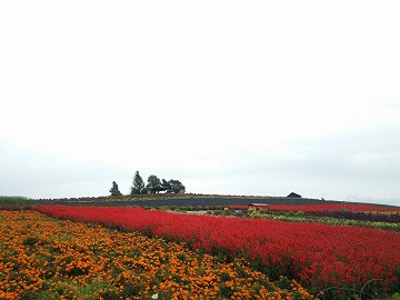 20150918_162945_sh04e
