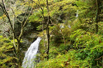 20151115_092648_nikon_d3200