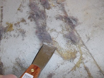 20160320_151922_coolpix_s30 20160320_151922_coolpix_s30