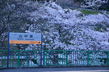 20160402_182046_nikon_d3200