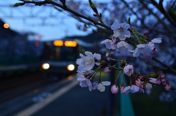 20160402_183009_nikon_d3200_0001